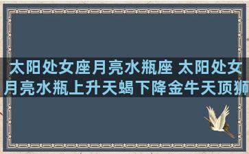 太阳处女座月亮水瓶座 太阳处女月亮水瓶上升天蝎下降金牛天顶狮子天底水瓶的b型血男人是什么性格